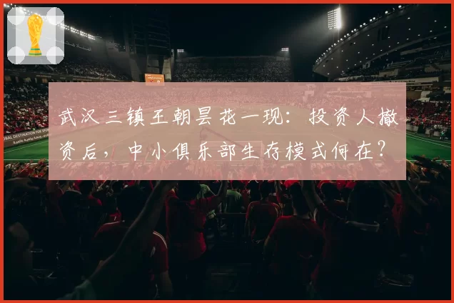 武汉三镇王朝昙花一现：投资人撤资后，中小俱乐部生存模式何在？