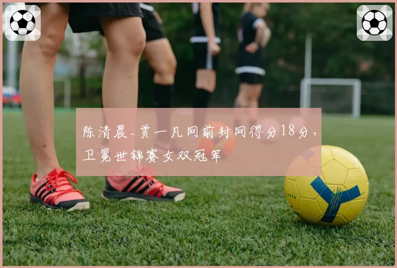 陈清晨_贾一凡网前封网得分18分，卫冕世锦赛女双冠军
