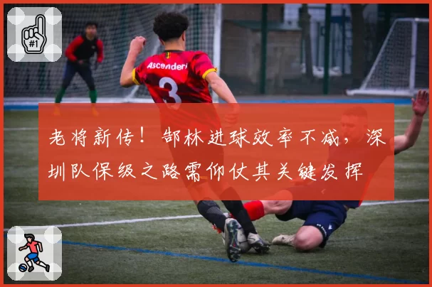 老将新传！郜林进球效率不减，深圳队保级之路需仰仗其关键发挥