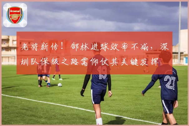 老将新传！郜林进球效率不减，深圳队保级之路需仰仗其关键发挥