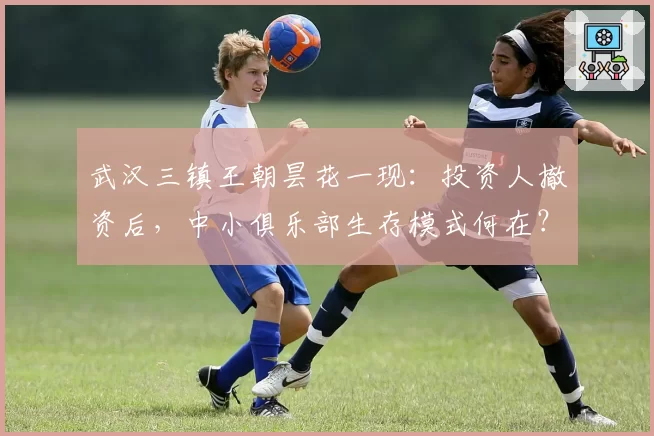 武汉三镇王朝昙花一现：投资人撤资后，中小俱乐部生存模式何在？
