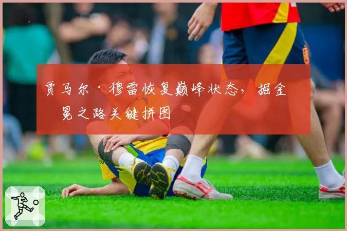 贾马尔·穆雷恢复巅峰状态,掘金卫冕之路关键拼图